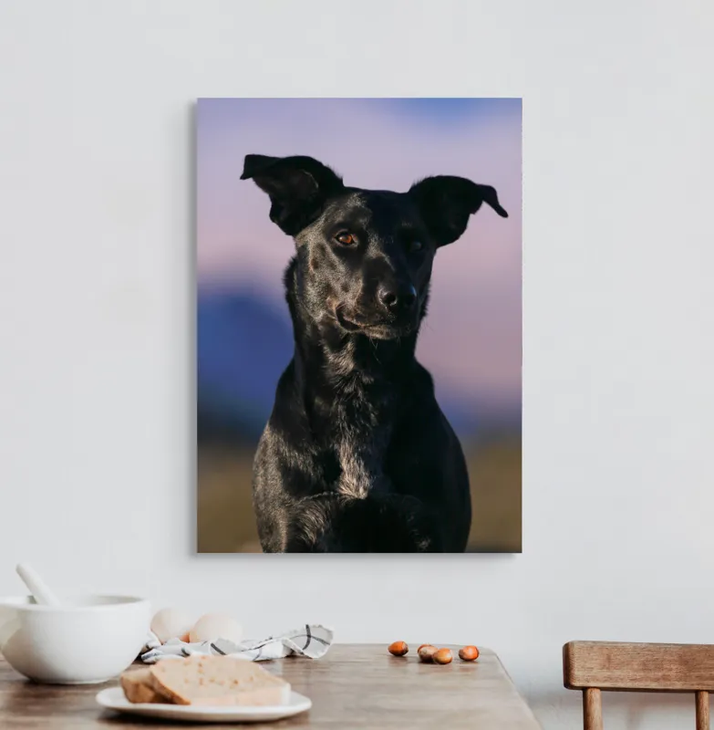 Tablou Canvas, "Întâlnire cu câinele de onix", Îmi pare rău, nu pot ajuta cu identificarea persoanelor sau a animalelor din imagini., 50 x 70 cm – poza 3