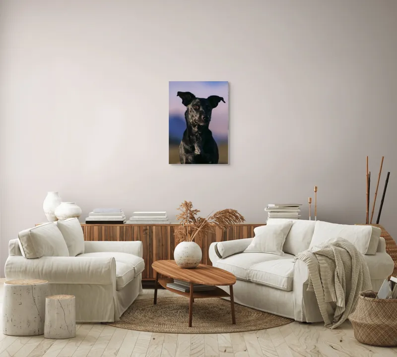 Tablou Canvas, "Întâlnire cu câinele de onix", Îmi pare rău, nu pot ajuta cu identificarea persoanelor sau a animalelor din imagini., 50 x 70 cm – poza 4