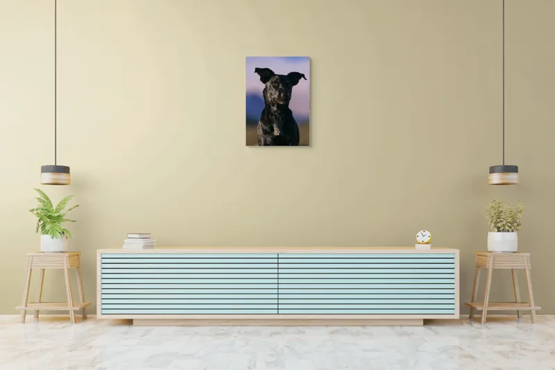 Tablou Canvas, "Întâlnire cu câinele de onix", Îmi pare rău, nu pot ajuta cu identificarea persoanelor sau a animalelor din imagini., 50 x 70 cm – poza 6
