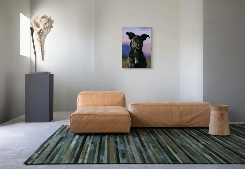 Tablou Canvas, "Întâlnire cu câinele de onix", Îmi pare rău, nu pot ajuta cu identificarea persoanelor sau a animalelor din imagini., 50 x 70 cm – poza 7