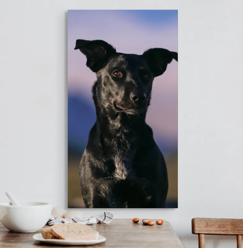 Tablou Canvas, "Întâlnire cu câinele de onix", 50 x 90 cm – poza 3