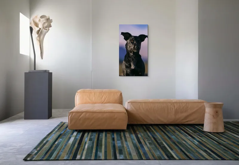 Tablou Canvas, "Întâlnire cu câinele de onix", 50 x 90 cm – poza 5