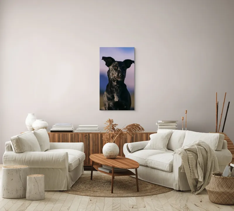 Tablou Canvas, "Întâlnire cu câinele de onix", 50 x 90 cm – poza 7
