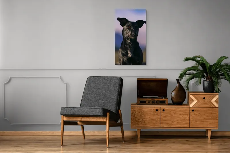 Tablou Canvas, "Întâlnire cu câinele de onix", 50 x 90 cm – poza 8