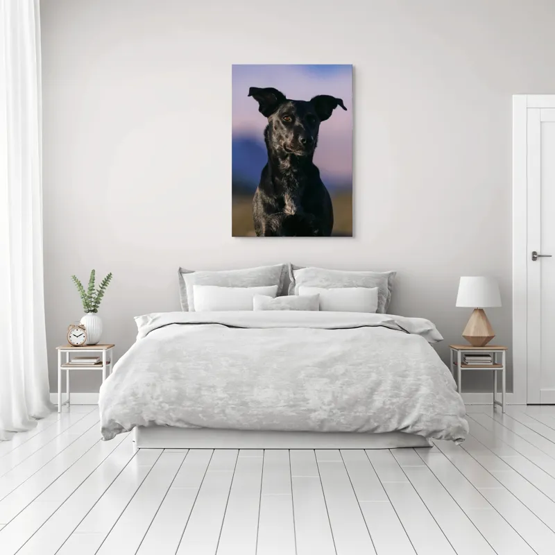Tablou Canvas, "Întâlnire cu câinele de onix", 70 x 100 cm – poza 3