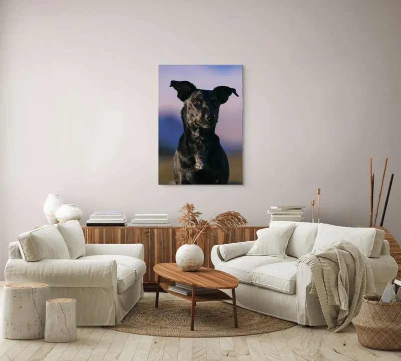 Tablou Canvas, "Întâlnire cu câinele de onix", 70 x 100 cm – poza 4