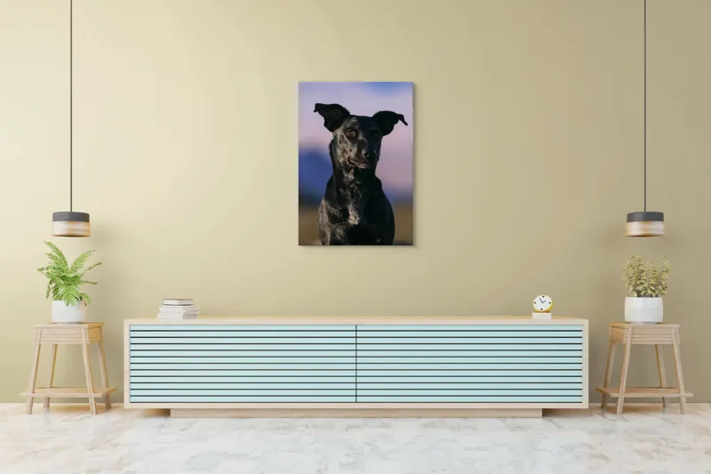 Tablou Canvas, "Întâlnire cu câinele de onix", 70 x 100 cm – poza 5