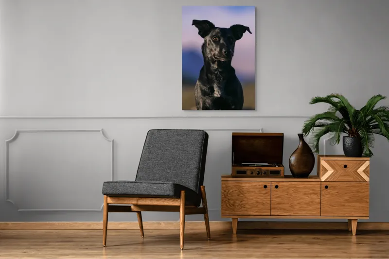 Tablou Canvas, "Întâlnire cu câinele de onix", 70 x 100 cm – poza 6