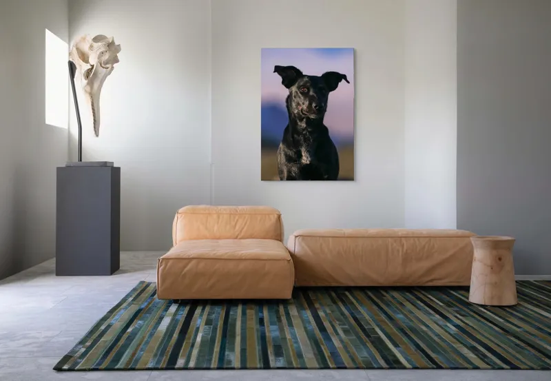 Tablou Canvas, "Întâlnire cu câinele de onix", 70 x 100 cm – poza 7