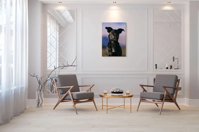 Tablou Canvas, "Întâlnire cu câinele de onix", 70 x 100 cm – poza 8
