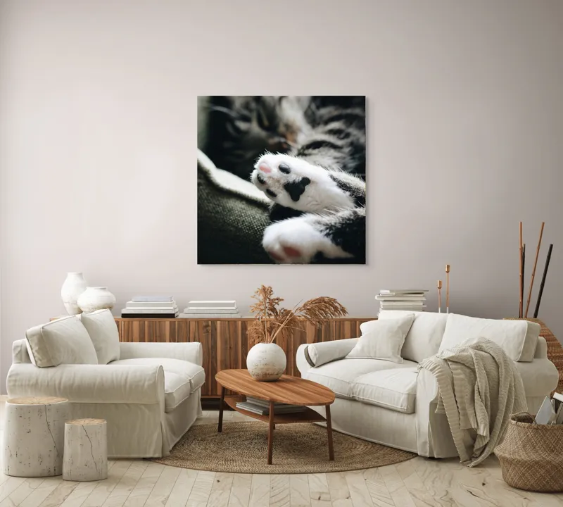 Tablou Canvas, "Pui de somn liniștit și blând", Pisică, Patrupede, Blană, Pernițe, Relaxează, Odihnă, Drăgălaș, Somn, Confort, Animal., 100 x 100 cm – poza 3
