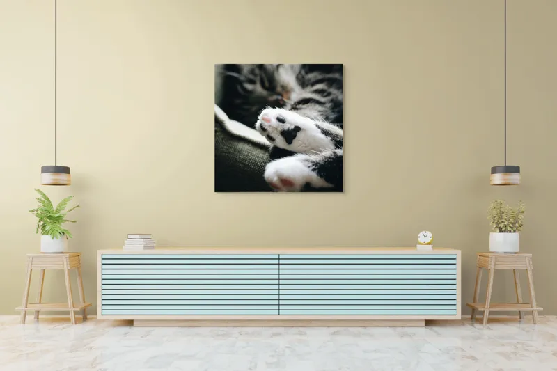Tablou Canvas, "Pui de somn liniștit și blând", Pisică, Patrupede, Blană, Pernițe, Relaxează, Odihnă, Drăgălaș, Somn, Confort, Animal., 100 x 100 cm – poza 5