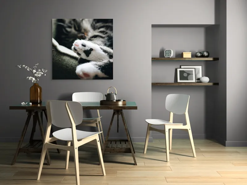 Tablou Canvas, "Pui de somn liniștit și blând", Pisică, Patrupede, Blană, Pernițe, Relaxează, Odihnă, Drăgălaș, Somn, Confort, Animal., 100 x 100 cm – poza 6