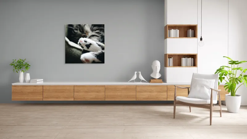 Tablou Canvas, "Pui de somn liniștit și blând", Pisică, Patrupede, Blană, Pernițe, Relaxează, Odihnă, Drăgălaș, Somn, Confort, Animal., 100 x 100 cm – poza 8