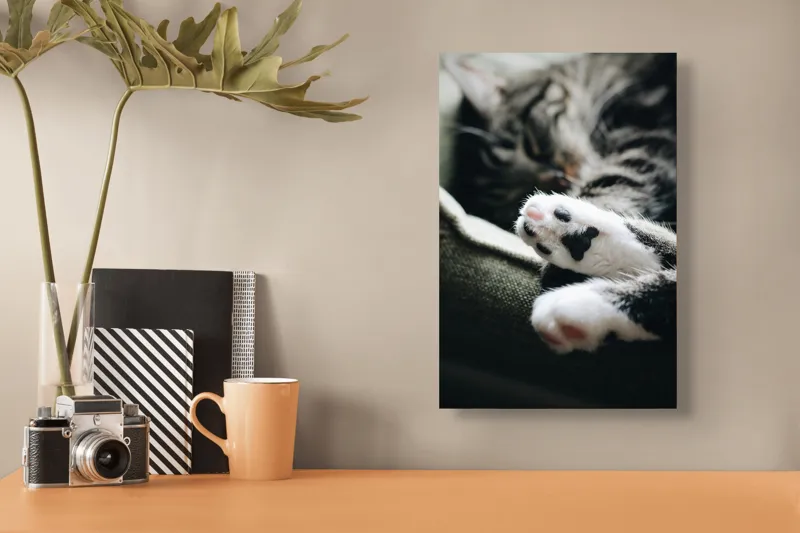 Tablou Canvas, "Pui de somn liniștit și blând", Pisică, Patrupede, Blană, Pernițe, Relaxează, Odihnă, Drăgălaș, Somn, Confort, Animal., 26 x 39 cm – poza 3