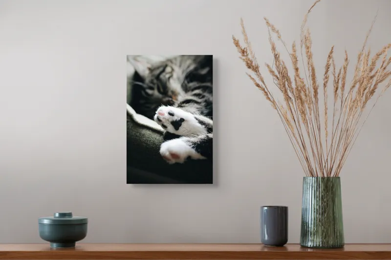 Tablou Canvas, "Pui de somn liniștit și blând", Pisică, Patrupede, Blană, Pernițe, Relaxează, Odihnă, Drăgălaș, Somn, Confort, Animal., 26 x 39 cm – poza 5
