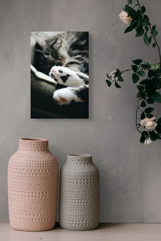 Tablou Canvas, "Pui de somn liniștit și blând", Pisică, Patrupede, Blană, Pernițe, Relaxează, Odihnă, Drăgălaș, Somn, Confort, Animal., 26 x 39 cm – poza 6