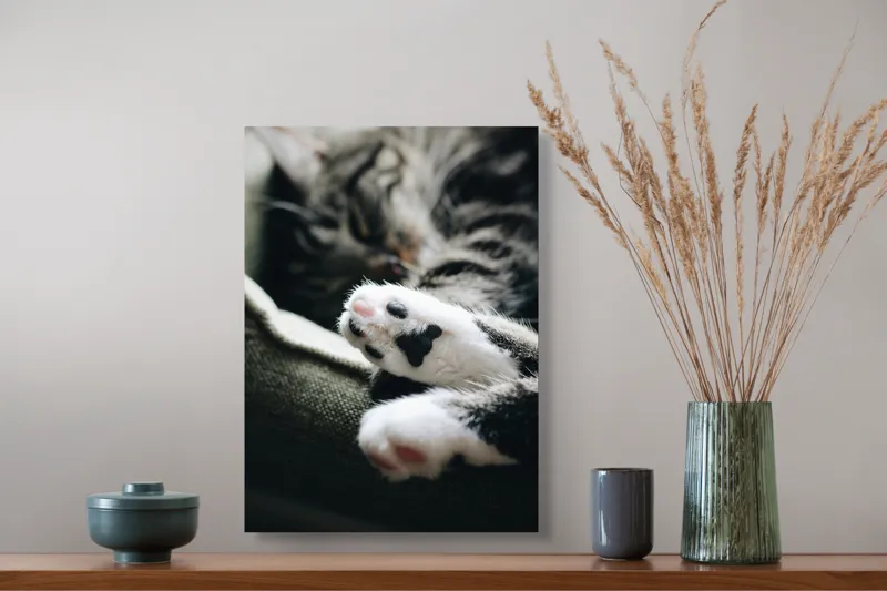 Tablou Canvas, "Pui de somn liniștit și blând", Pisică, Patrupede, Blană, Pernițe, Relaxează, Odihnă, Drăgălaș, Somn, Confort, Animal., 39 x 54 cm – poza 3