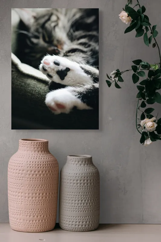 Tablou Canvas, "Pui de somn liniștit și blând", Pisică, Patrupede, Blană, Pernițe, Relaxează, Odihnă, Drăgălaș, Somn, Confort, Animal., 39 x 54 cm – poza 6