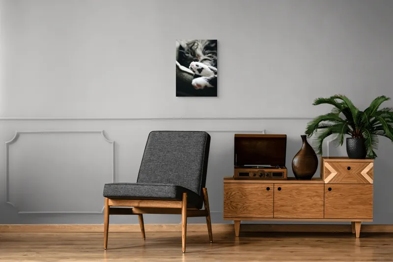 Tablou Canvas, "Pui de somn liniștit și blând", Pisică, Patrupede, Blană, Pernițe, Relaxează, Odihnă, Drăgălaș, Somn, Confort, Animal., 39 x 54 cm – poza 8
