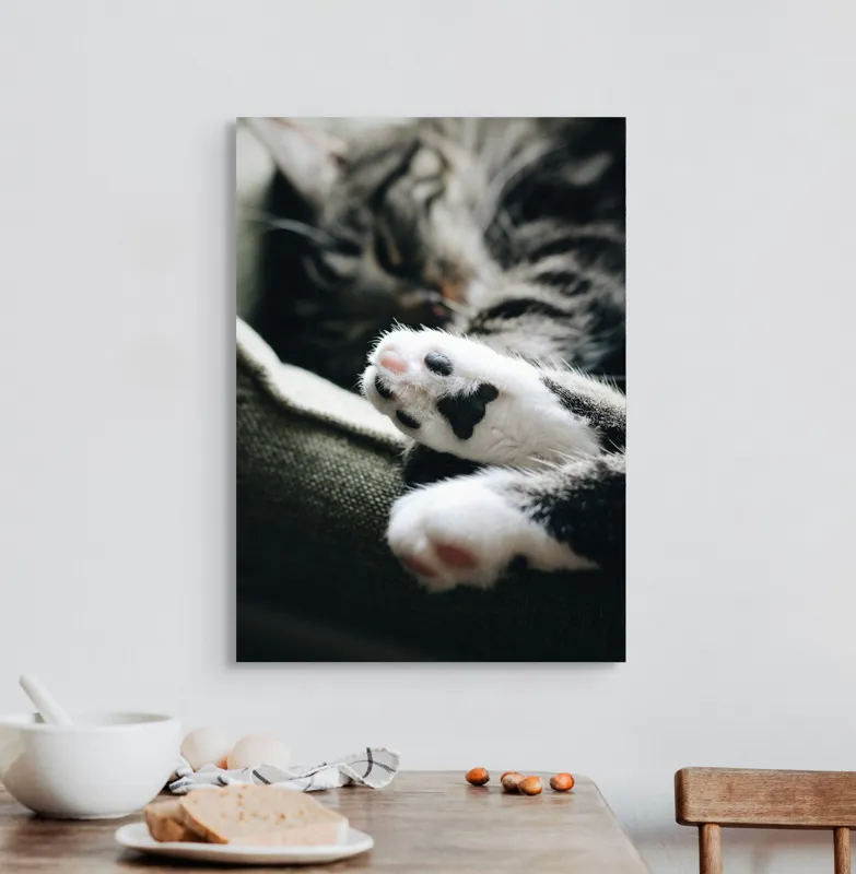 Tablou Canvas, "Pui de somn liniștit și blând", Pisică, Patrupede, Blană, Pernițe, Relaxează, Odihnă, Drăgălaș, Somn, Confort, Animal., 50 x 70 cm – poza 3
