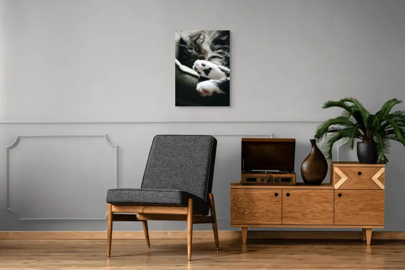 Tablou Canvas, "Pui de somn liniștit și blând", Pisică, Patrupede, Blană, Pernițe, Relaxează, Odihnă, Drăgălaș, Somn, Confort, Animal., 50 x 70 cm – poza 8