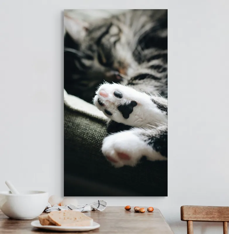 Tablou Canvas, "Pui de somn liniștit și blând", Pisică, Patrupede, Blană, Pernițe, Relaxează, Odihnă, Drăgălaș, Somn, Confort, Animal., 50 x 90 cm – poza 3