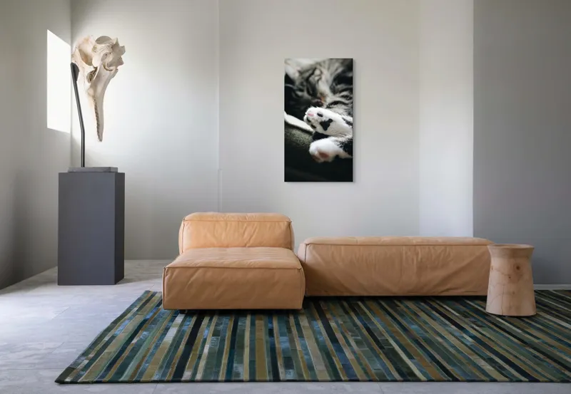 Tablou Canvas, "Pui de somn liniștit și blând", Pisică, Patrupede, Blană, Pernițe, Relaxează, Odihnă, Drăgălaș, Somn, Confort, Animal., 50 x 90 cm – poza 5