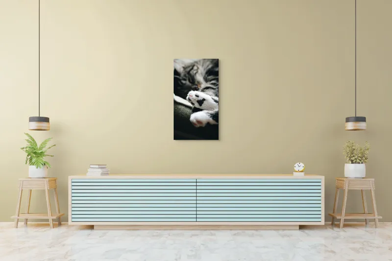 Tablou Canvas, "Pui de somn liniștit și blând", Pisică, Patrupede, Blană, Pernițe, Relaxează, Odihnă, Drăgălaș, Somn, Confort, Animal., 50 x 90 cm – poza 6