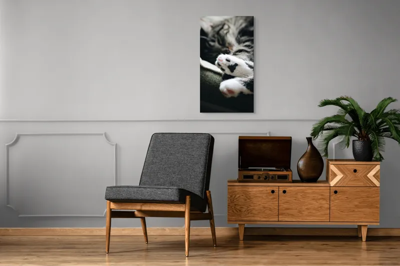 Tablou Canvas, "Pui de somn liniștit și blând", Pisică, Patrupede, Blană, Pernițe, Relaxează, Odihnă, Drăgălaș, Somn, Confort, Animal., 50 x 90 cm – poza 8