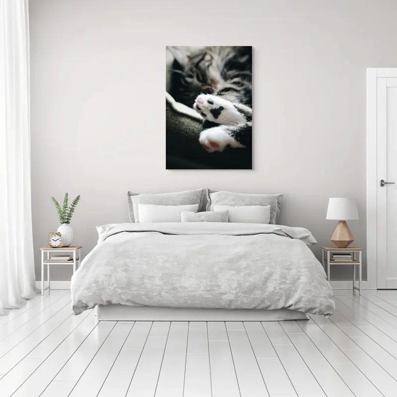 Tablou Canvas, "Pui de somn liniștit și blând", Pisică, Patrupede, Blană, Pernițe, Relaxează, Odihnă, Drăgălaș, Somn, Confort, Animal., 70 x 100 cm – poza 3