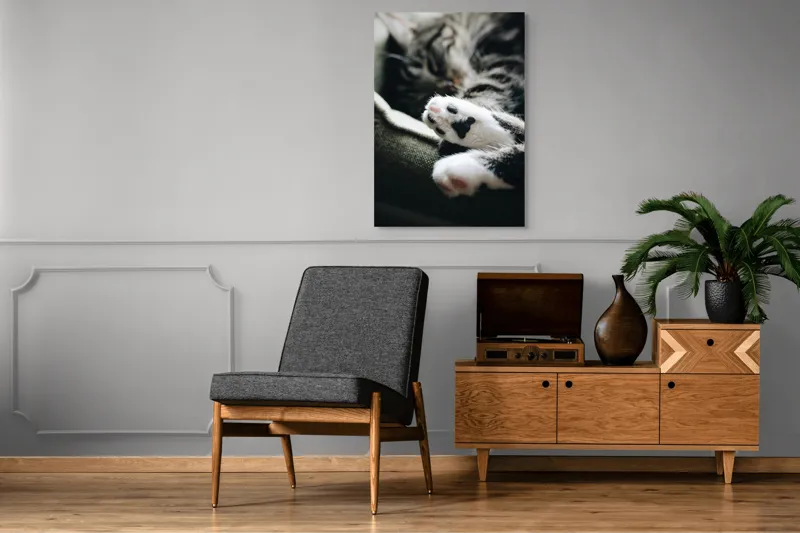 Tablou Canvas, "Pui de somn liniștit și blând", Pisică, Patrupede, Blană, Pernițe, Relaxează, Odihnă, Drăgălaș, Somn, Confort, Animal., 70 x 100 cm – poza 6