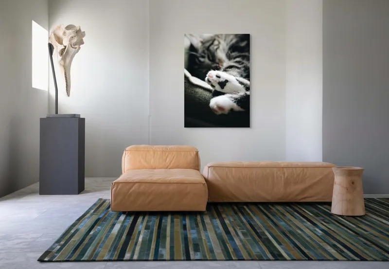Tablou Canvas, "Pui de somn liniștit și blând", Pisică, Patrupede, Blană, Pernițe, Relaxează, Odihnă, Drăgălaș, Somn, Confort, Animal., 70 x 100 cm – poza 7
