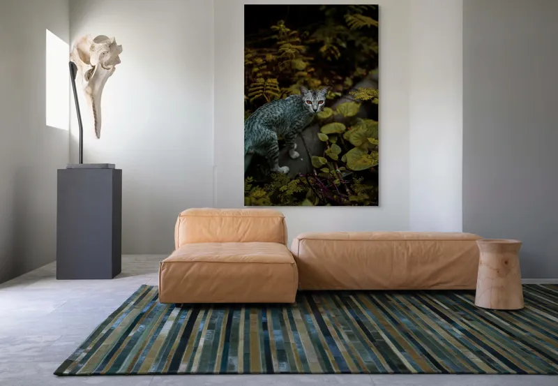 Tablou Canvas, "Pisica misterioasă printre ferigi verzi", Pisică, Frunze, Verdeață, Privire, Tufisuri, Eleganță, Natură, Mister, Curiozitate, 100 x 150 cm – poza 7