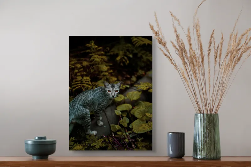 Tablou Canvas, "Pisica misterioasă printre ferigi verzi", Pisică, Frunze, Verdeață, Privire, Tufisuri, Eleganță, Natură, Mister, Curiozitate, 39 x 54 cm – poza 3