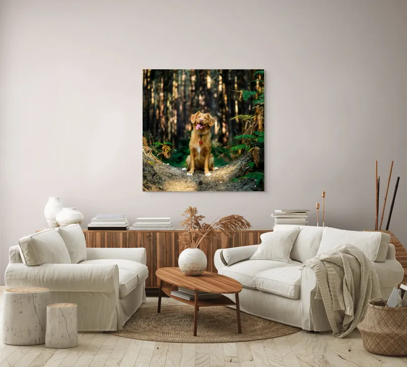 Tablou Canvas, "Câinele fericit în pădurea deasă", 100 x 100 cm – poza 3