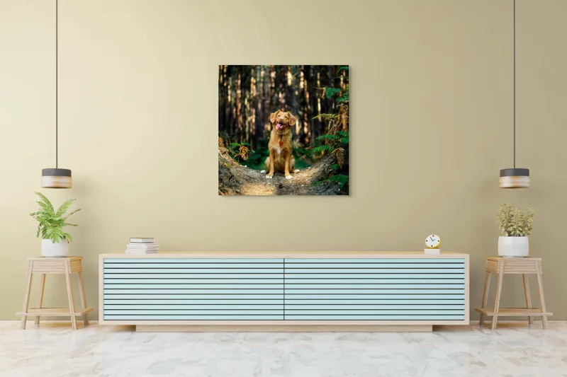 Tablou Canvas, "Câinele fericit în pădurea deasă", 100 x 100 cm – poza 5