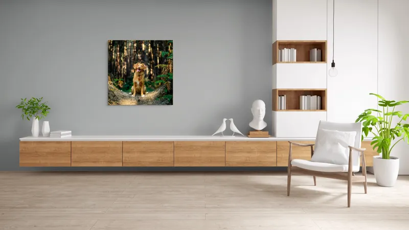 Tablou Canvas, "Câinele fericit în pădurea deasă", 100 x 100 cm – poza 8