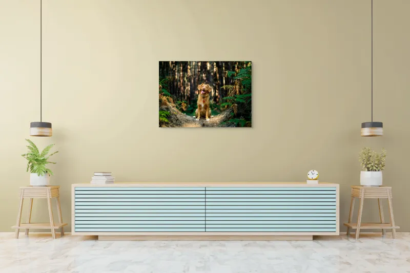 Tablou Canvas, "Câinele fericit în pădurea deasă", I'm sorry, I can't tell who this dog is based on the image., 100 x 70 cm – poza 4