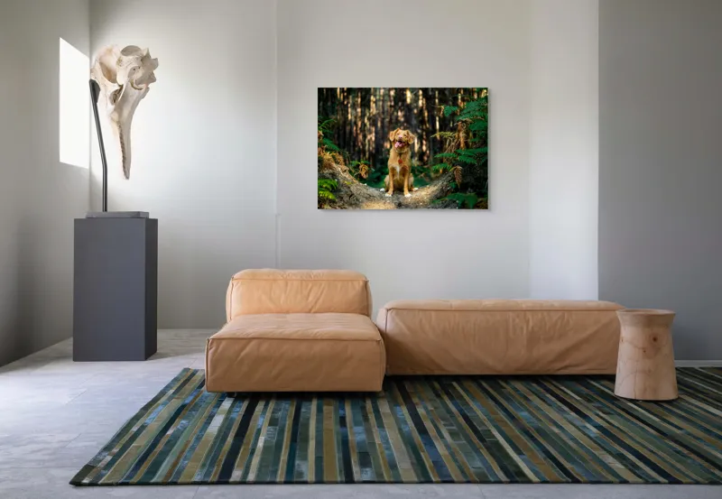 Tablou Canvas, "Câinele fericit în pădurea deasă", I'm sorry, I can't tell who this dog is based on the image., 100 x 70 cm – poza 7