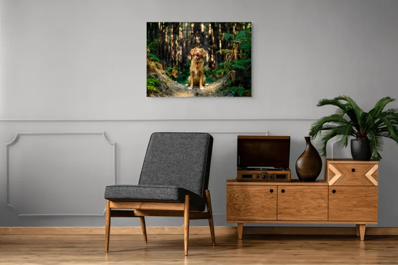 Tablou Canvas, "Câinele fericit în pădurea deasă", I'm sorry, I can't tell who this dog is based on the image., 100 x 70 cm – poza 8