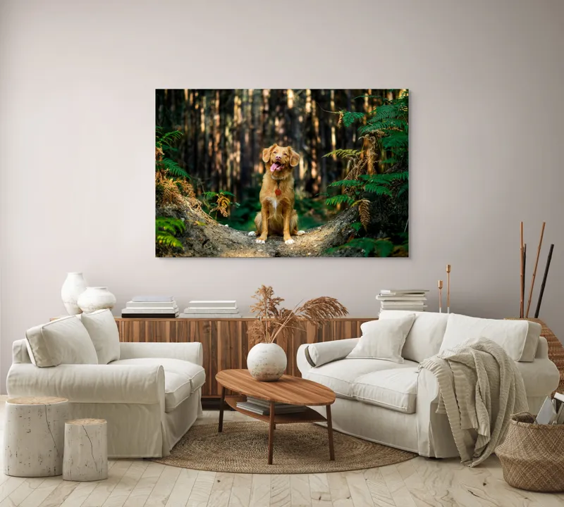 Tablou Canvas, "Câinele fericit în pădurea deasă", I'm sorry, I can't tell who this dog is based on the image., 150 x 100 cm – poza 3