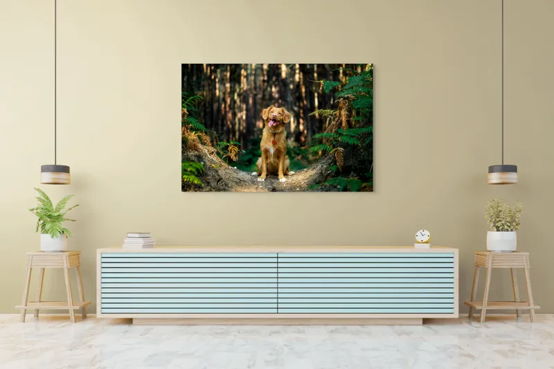 Tablou Canvas, "Câinele fericit în pădurea deasă", I'm sorry, I can't tell who this dog is based on the image., 150 x 100 cm – poza 6