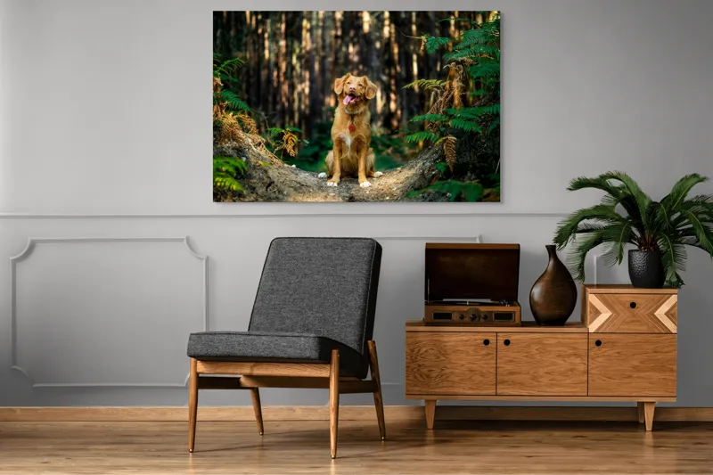 Tablou Canvas, "Câinele fericit în pădurea deasă", I'm sorry, I can't tell who this dog is based on the image., 150 x 100 cm – poza 8