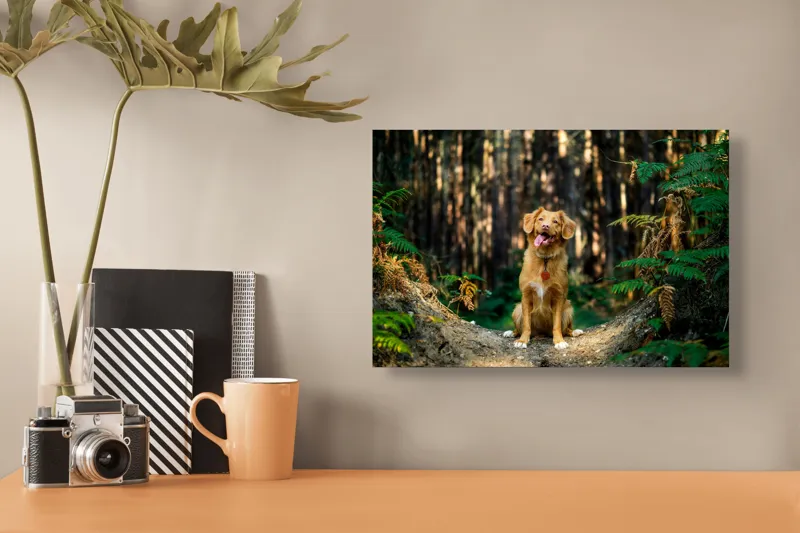 Tablou Canvas, "Câinele fericit în pădurea deasă", I'm sorry, I can't tell who this dog is based on the image., 39 x 26 cm – poza 3