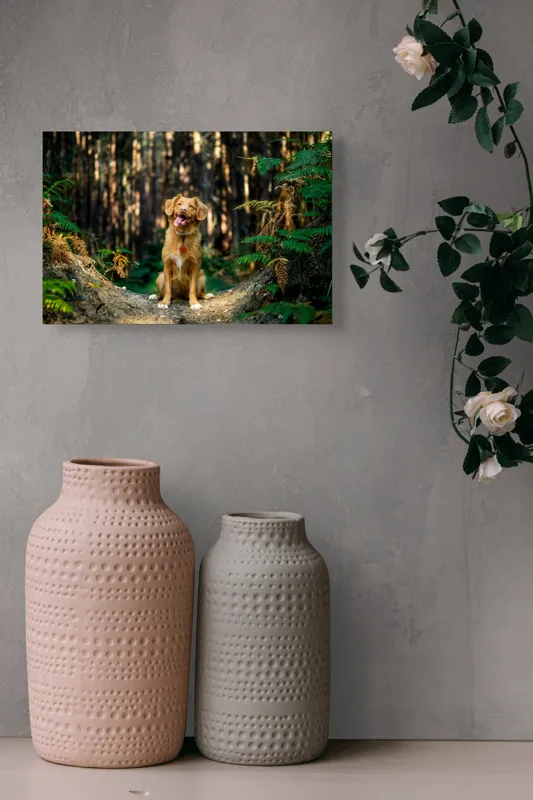 Tablou Canvas, "Câinele fericit în pădurea deasă", I'm sorry, I can't tell who this dog is based on the image., 39 x 26 cm – poza 4
