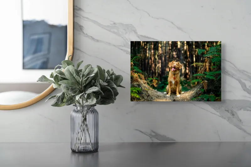 Tablou Canvas, "Câinele fericit în pădurea deasă", I'm sorry, I can't tell who this dog is based on the image., 39 x 26 cm – poza 5