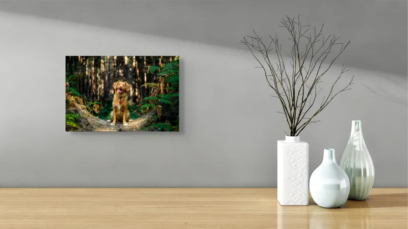 Tablou Canvas, "Câinele fericit în pădurea deasă", I'm sorry, I can't tell who this dog is based on the image., 39 x 26 cm – poza 8