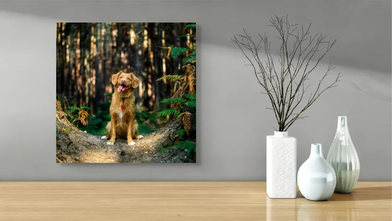 Tablou Canvas, "Câinele fericit în pădurea deasă", I'm sorry, I can't tell who this dog is based on the image., 50 x 50 cm – poza 3
