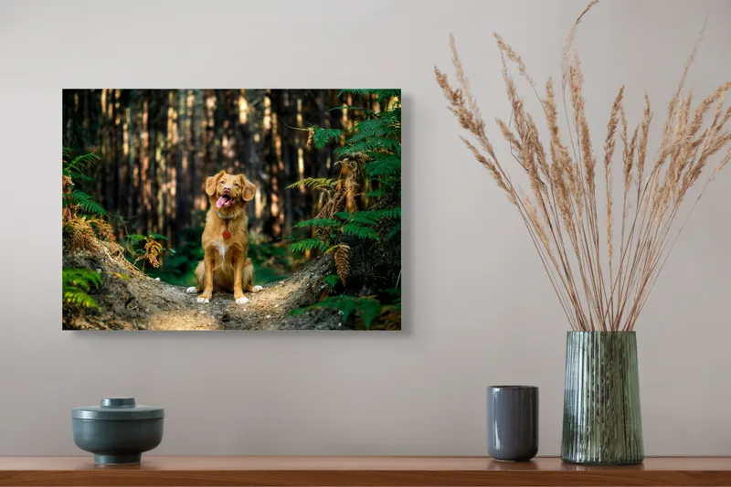 Tablou Canvas, "Câinele fericit în pădurea deasă", I'm sorry, I can't tell who this dog is based on the image., 54 x 39 cm – poza 4